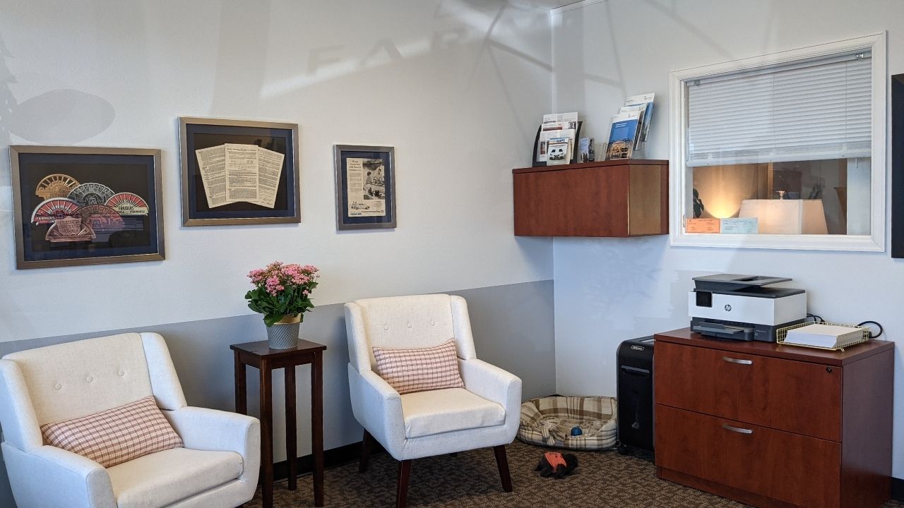 A newly painted office lobby with fresh, neutral-colored walls, modern furniture, a polished reception desk, and vibrant indoor plants, creating a clean and welcoming atmosphere.